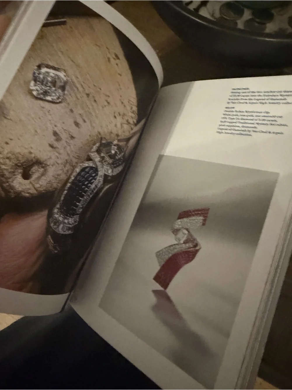 Van Cleef & Arpels White Book with Blue Title and Red Illustration